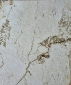 PORCELANATO MATT RUSTIC PUNCH PATAGONIA BEIGE LUGO 60X120