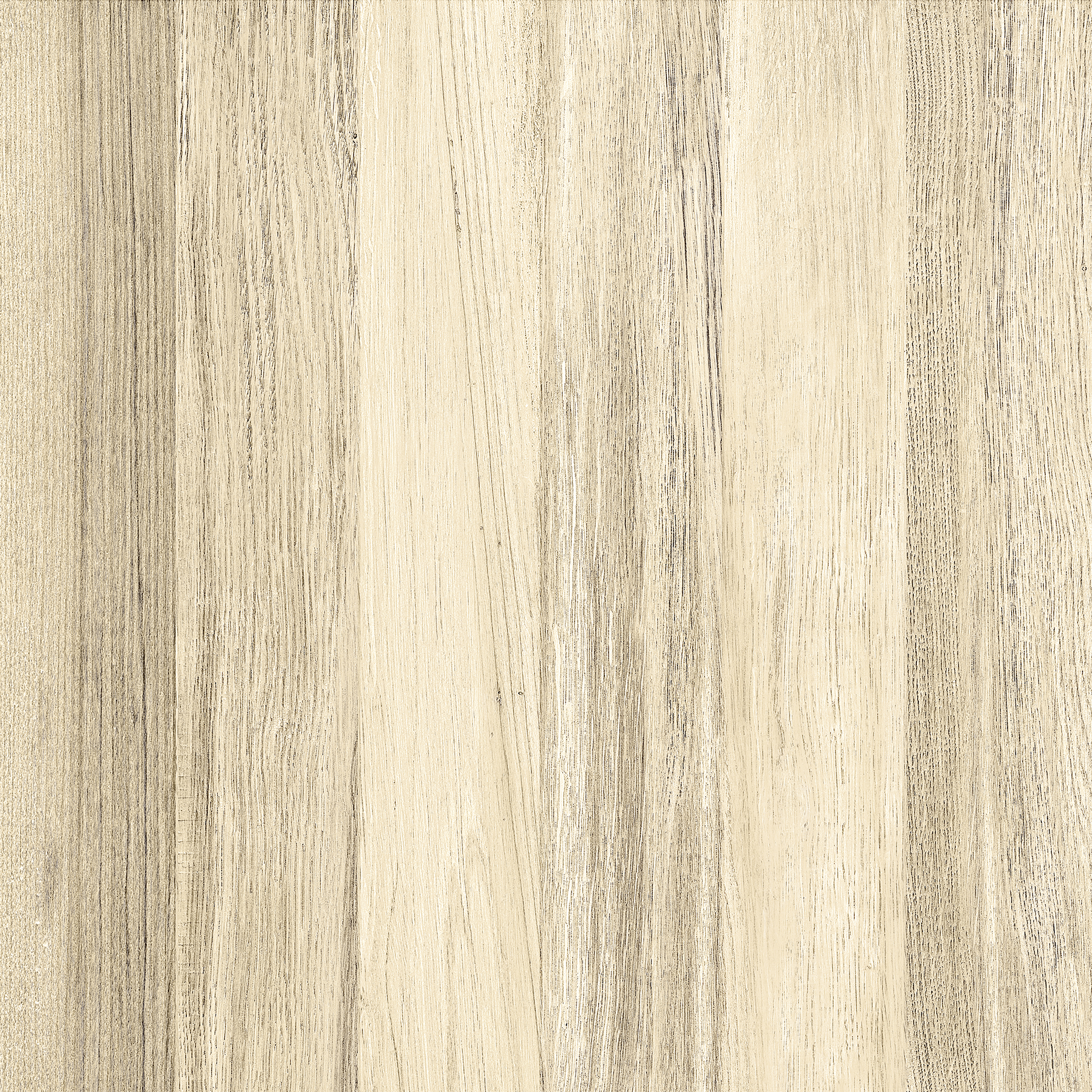 VOLGA PLUS RT HD 61X61