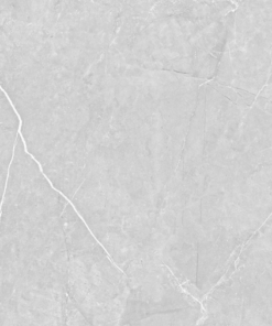 CRT CERAMICA R55122 BRILLO 55X55