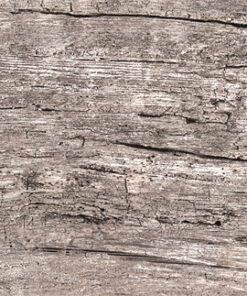 PORC. MONTANA CHESNUR REC 19X120
