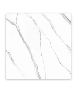 PF RT778811 RONDON PLUS BRILLO 59.8X59.8 HD